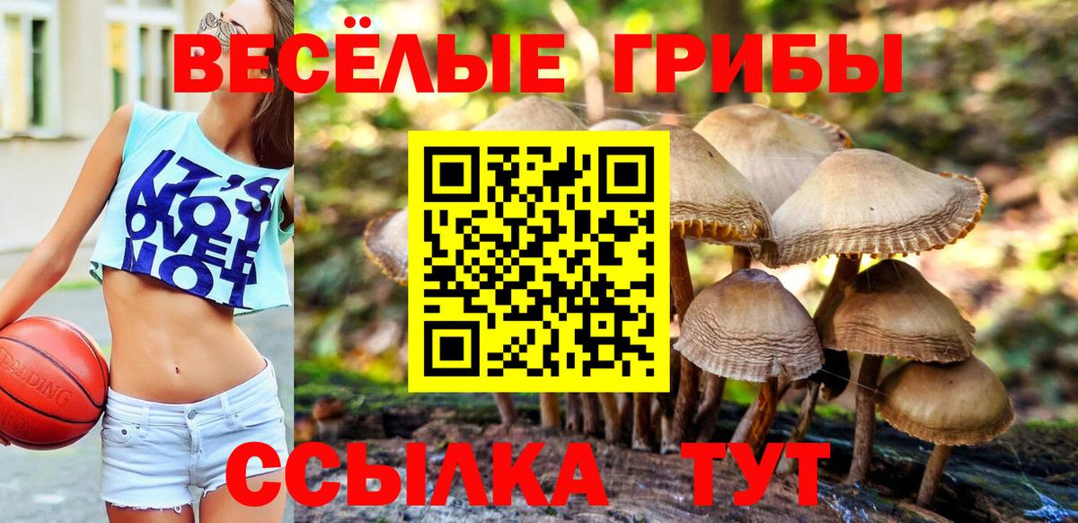 Псилоцибиновые грибы GOLDEN TEACHER Саров